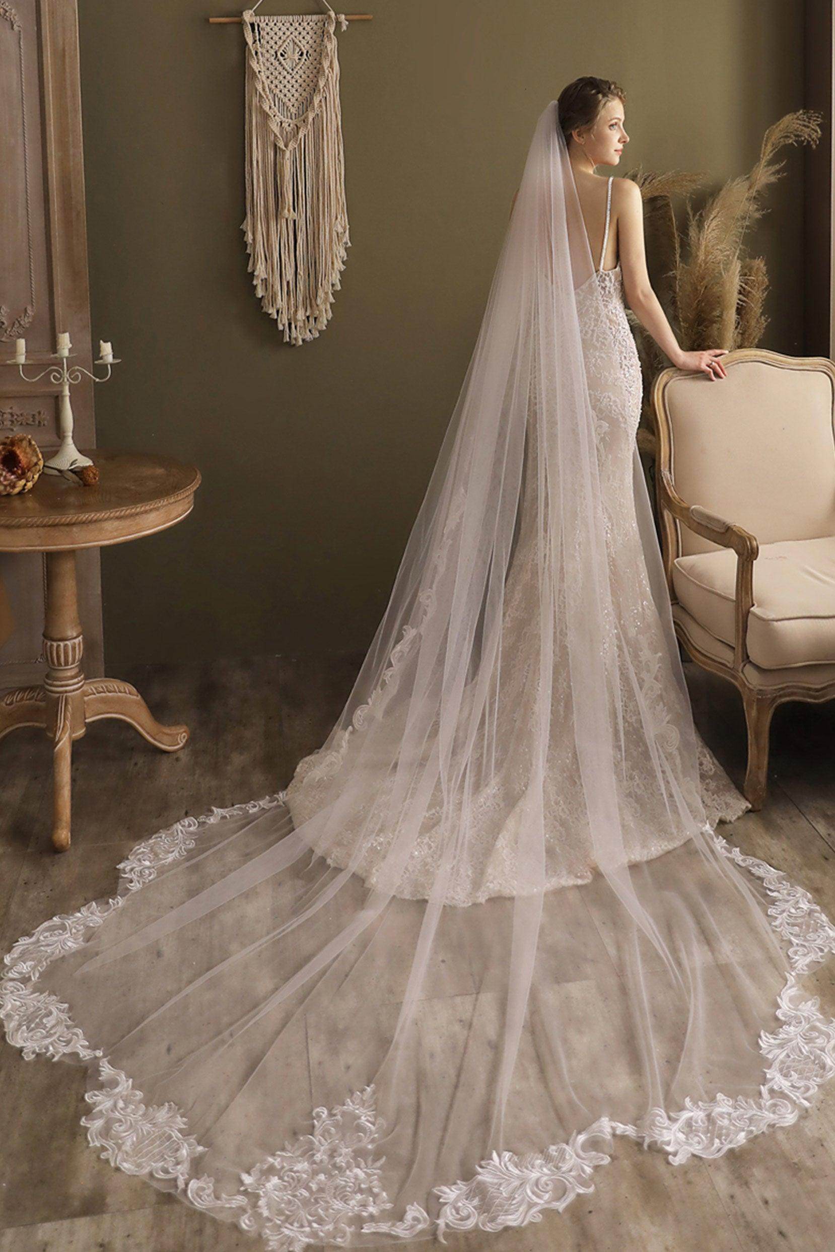 One-tier Lace Edge Tulle Cathedral Veils Appliques CV0269 - COCOMELODY